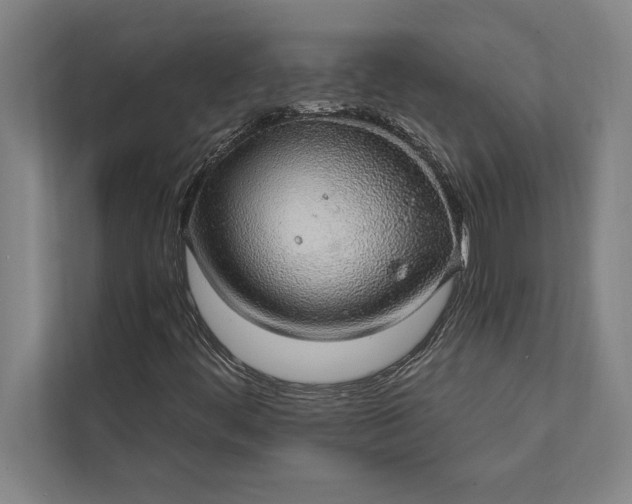 X0000112381444200908271309