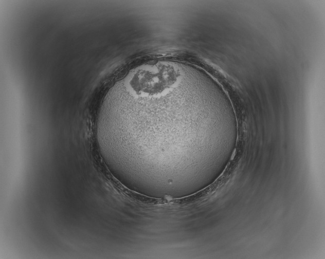 X0000112381447200908271309