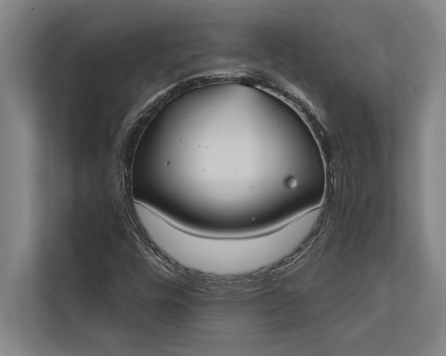 X0000112381448200908271309