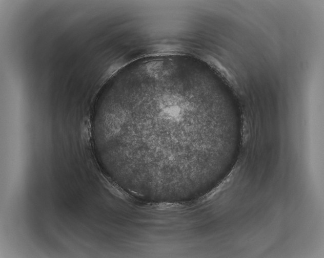 X0000112381449200908271309