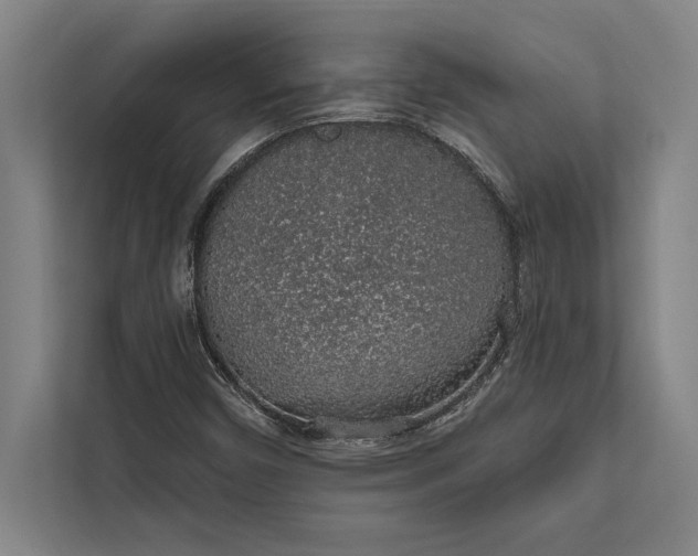 X0000112381450200908271309