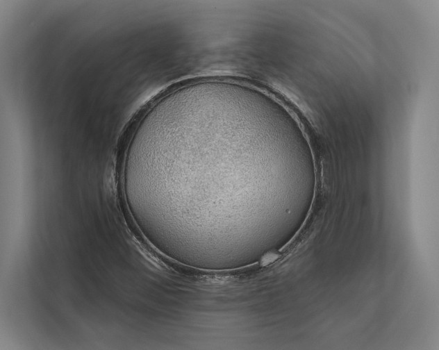 X0000112381452200908271309