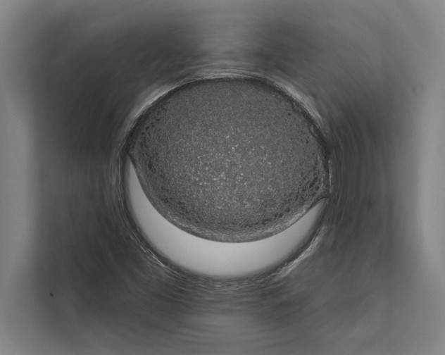 X0000112381453200908271309