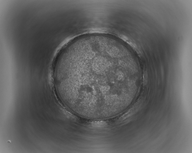 X0000112381454200908271309