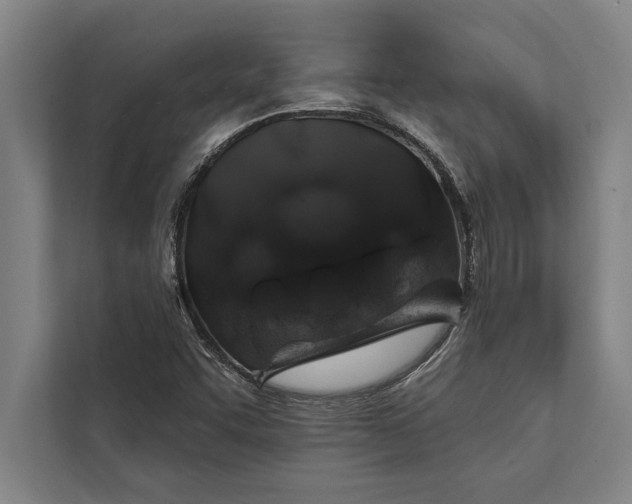 X0000112381455200908271309