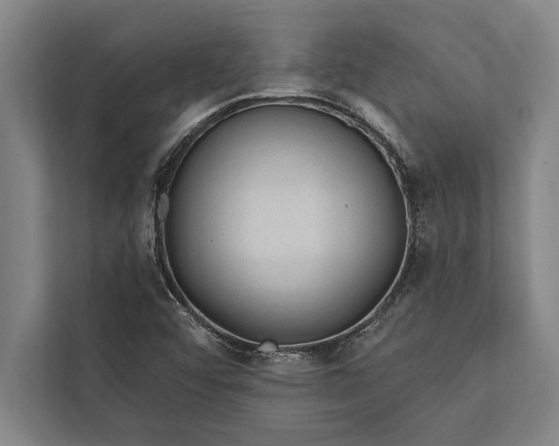 X0000112381456200908271309