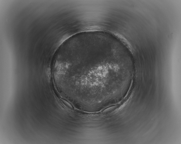 X0000112381457200908271309