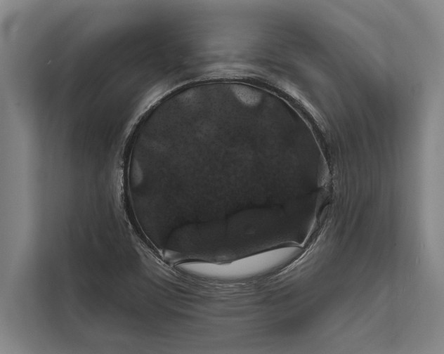 X0000112381459200908271309