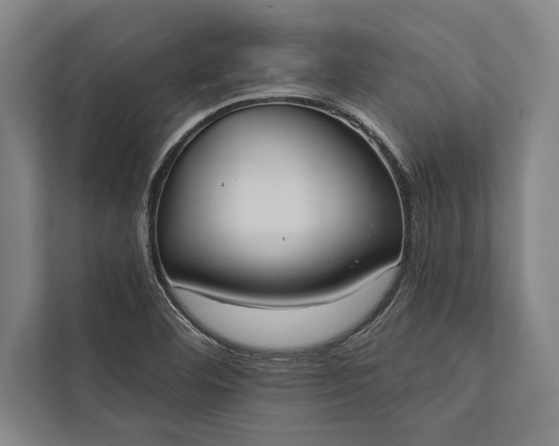 X0000112381460200908271309