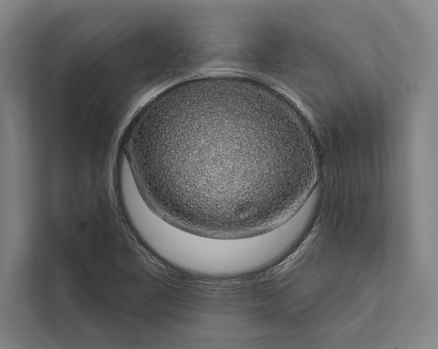 X0000112381461200908271309