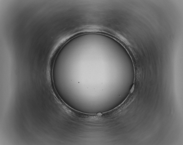 X0000112381464200908271309