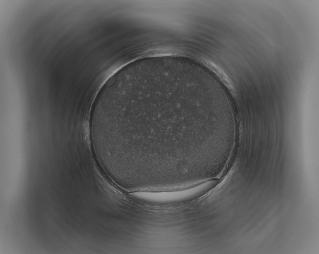 X0000112381465200908271309