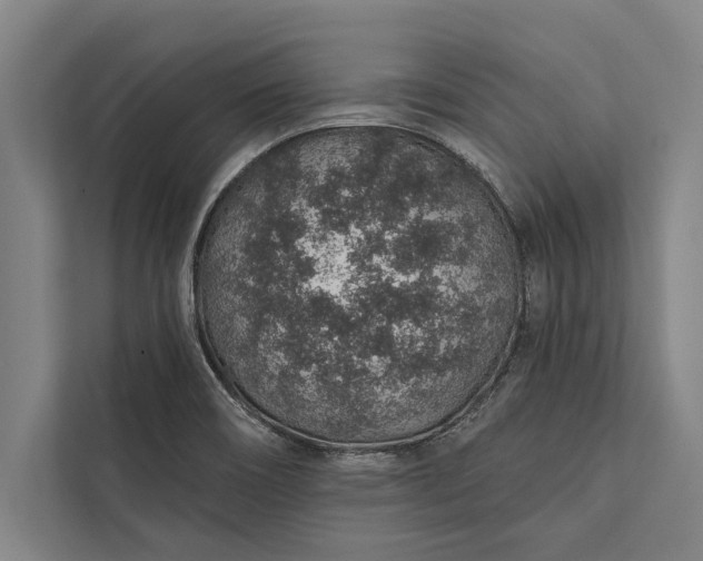 X0000112381466200908271309