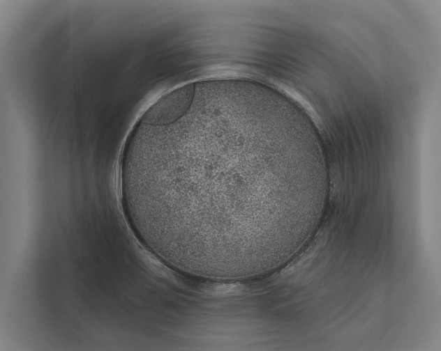 X0000112381467200908271309