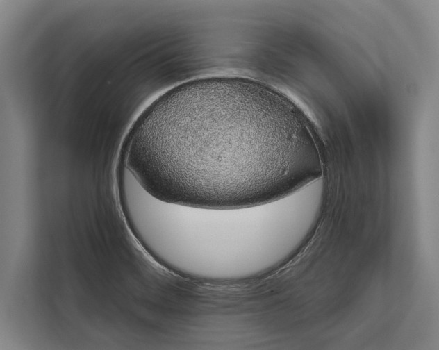 X0000112381468200908271309