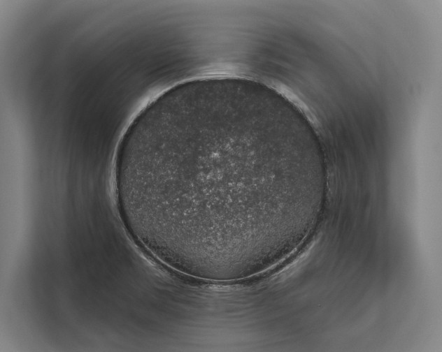 X0000112381469200908271309