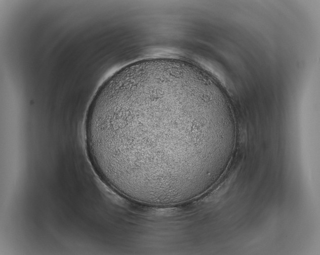 X0000112381471200908271309