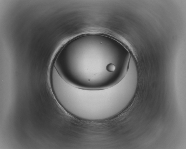 X0000112381472200908271309