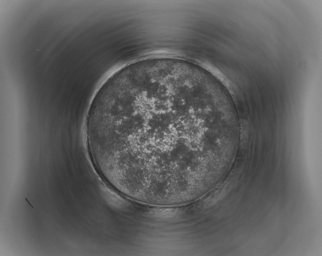 X0000112381474200908271309