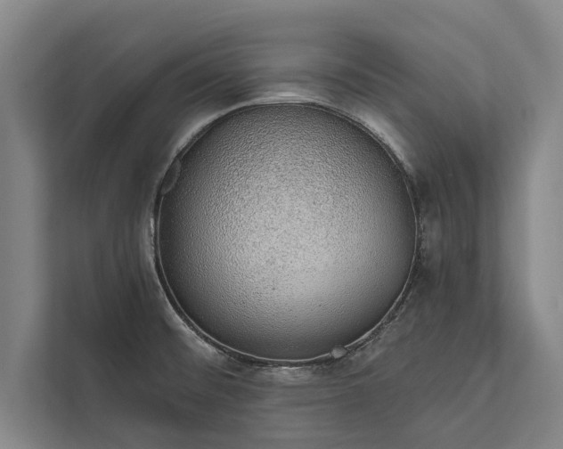 X0000112381476200908271309