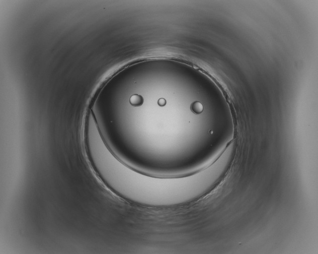 X0000112381477200908271309