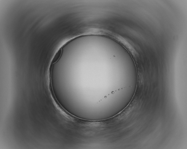 X0000112381479200908271309