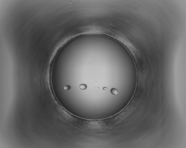 X0000112381480200908271309