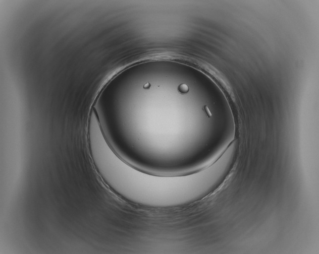 X0000112381481200908271309