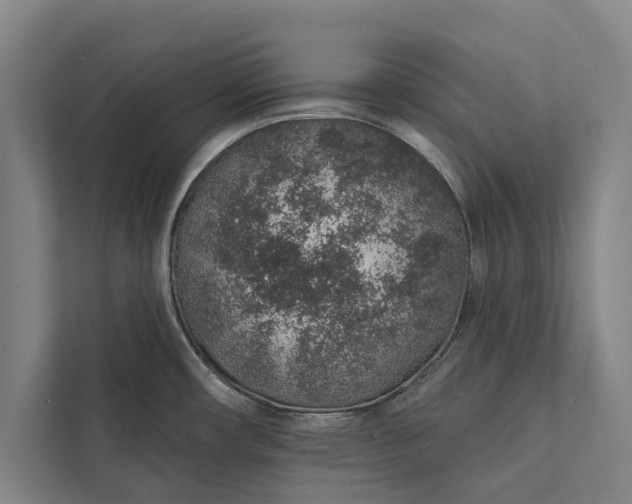 X0000112381482200908271309