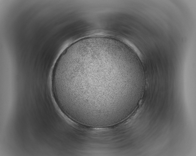 X0000112381483200908271309