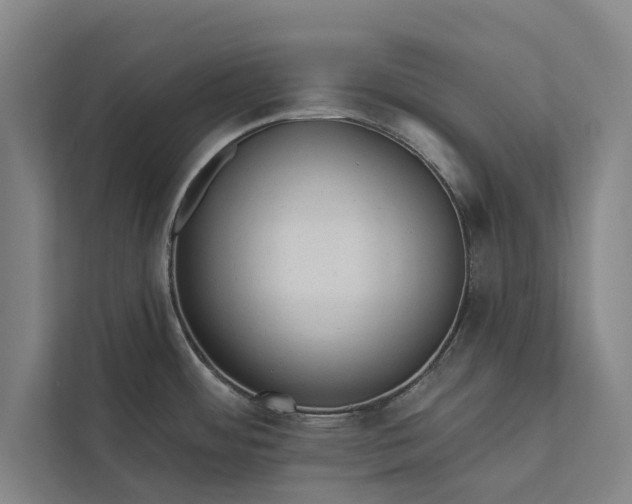 X0000112381484200908271309