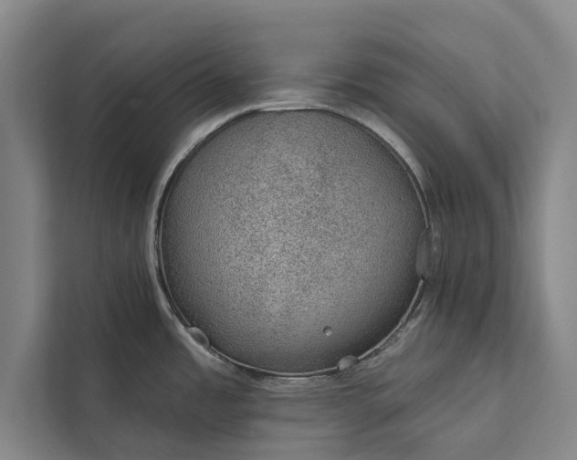 X0000112381485200908271309