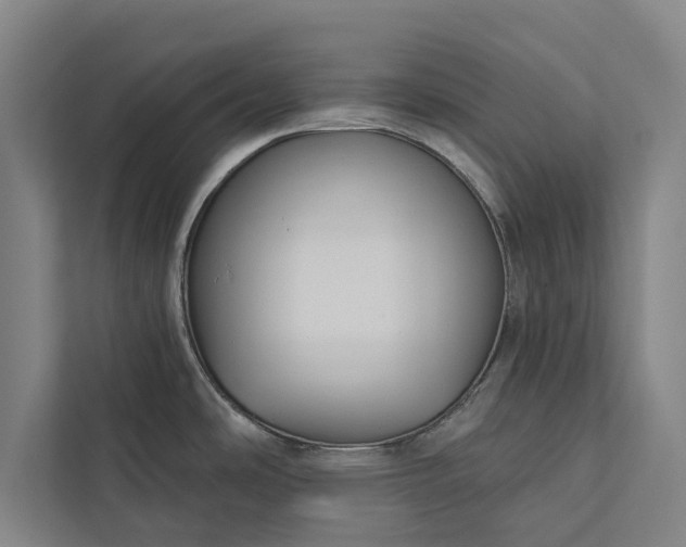 X0000112381486200908271309