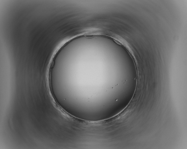 X0000112381488200908271309