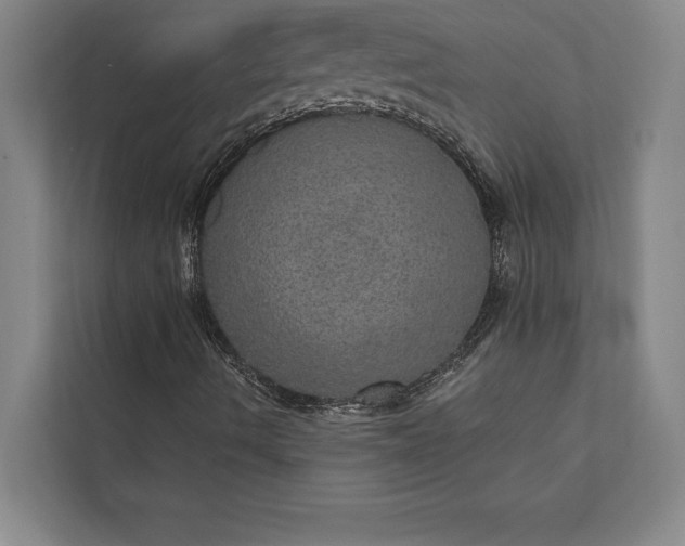 X0000112381490200908271308