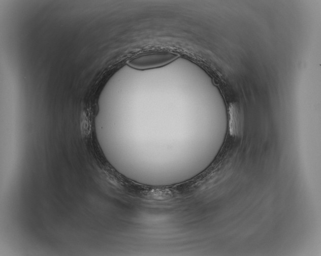 X0000112381491200908271308