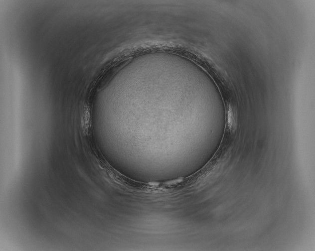 X0000112381492200908271308