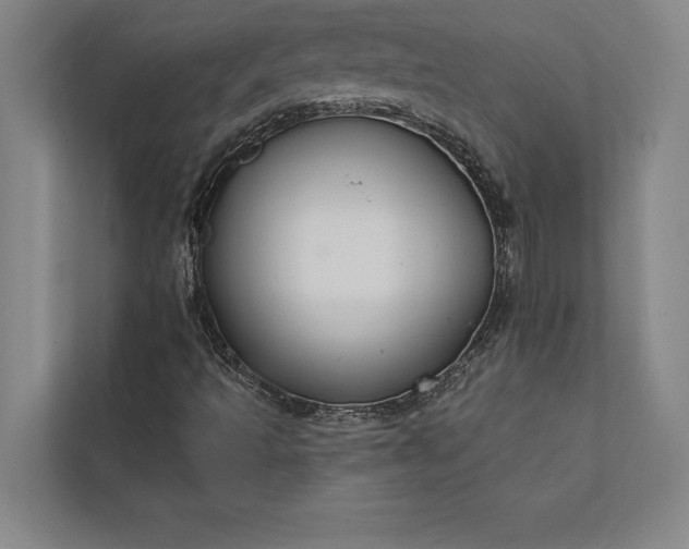 X0000112381493200908271308