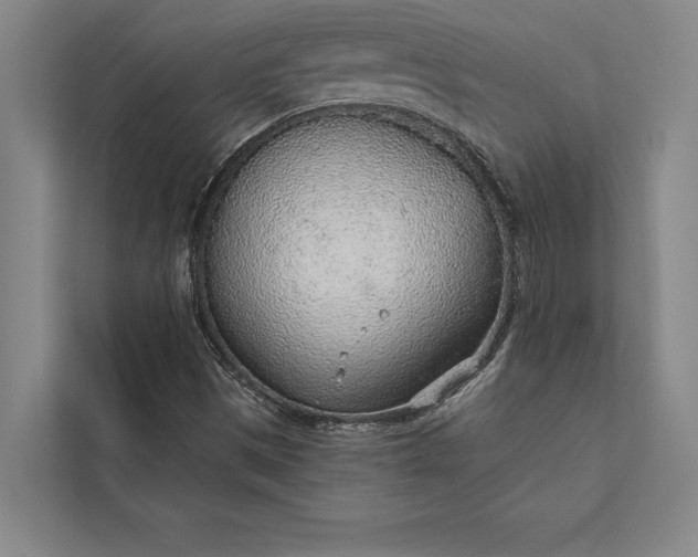 X0000112381497200908271308