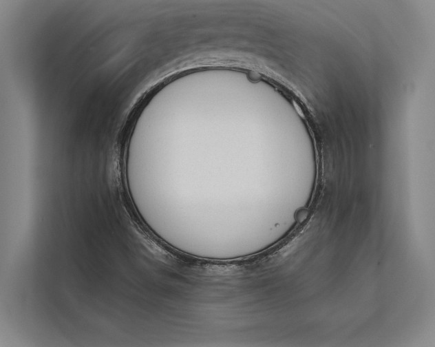 X0000112381498200908271308