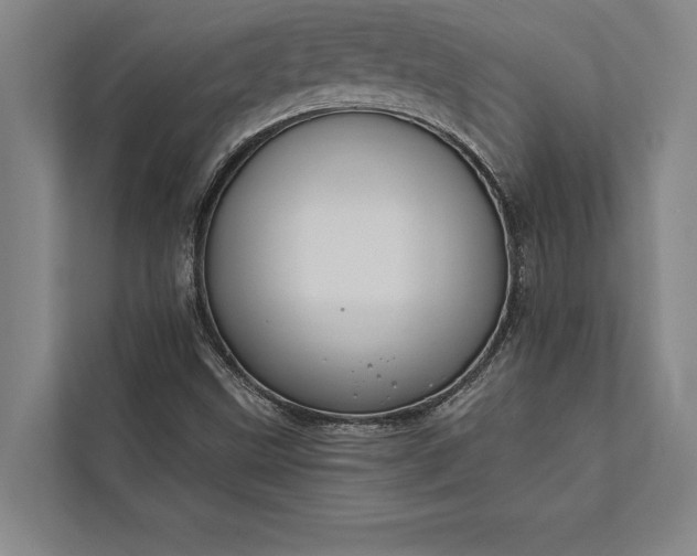 X0000112381499200908271308