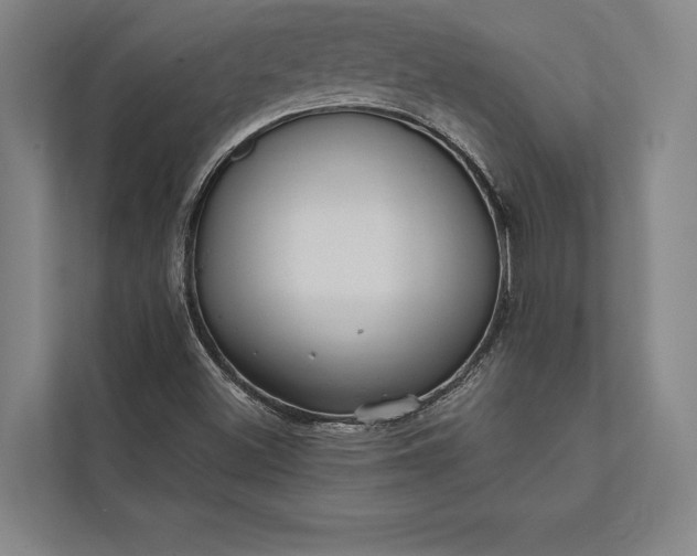 X0000112381500200908271308