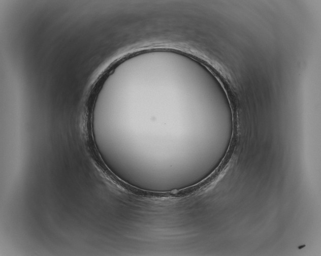 X0000112381502200908271308