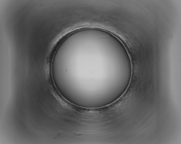 X0000112381503200908271308