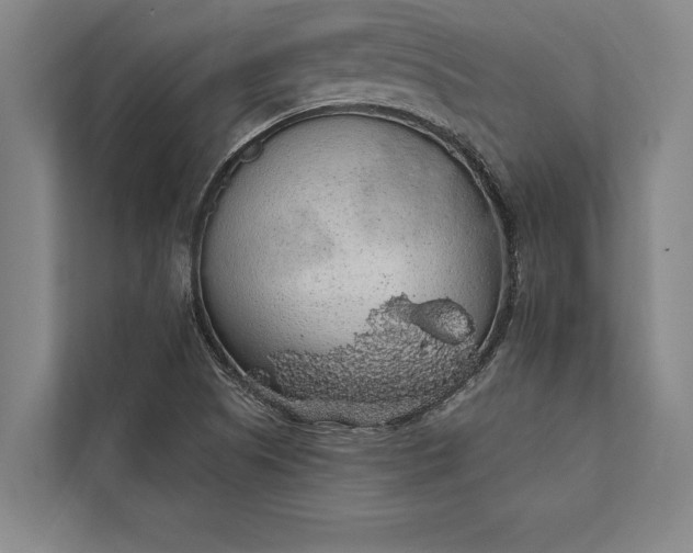 X0000112381505200908271308