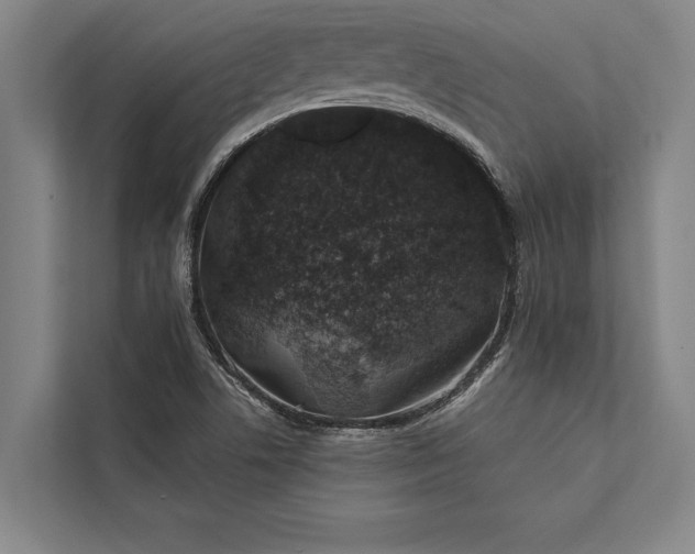 X0000112381506200908271308