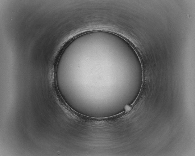 X0000112381507200908271308