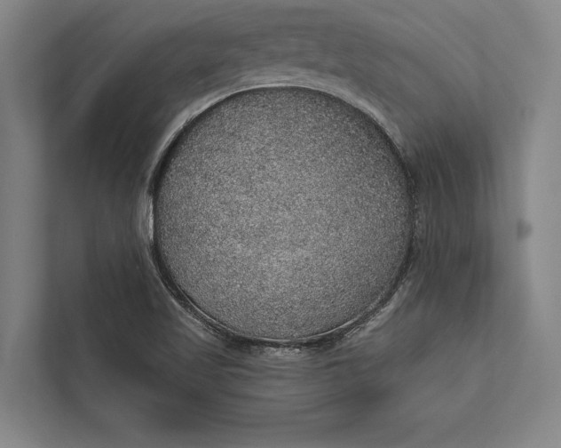 X0000112381509200908271308