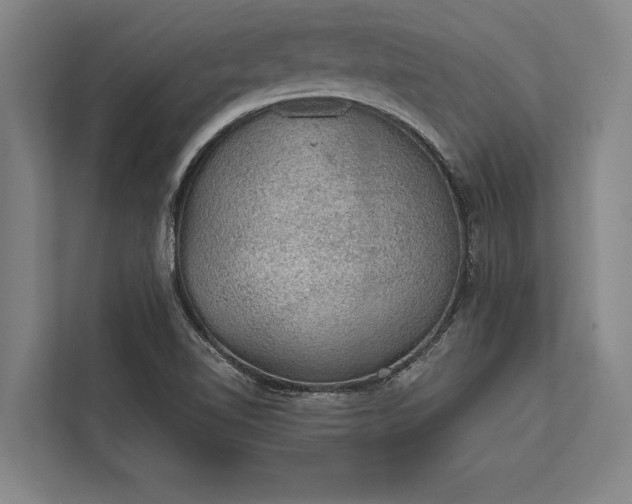 X0000112381510200908271308