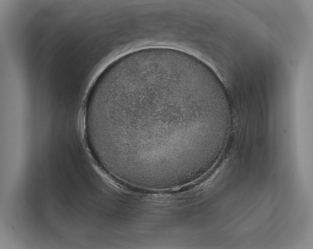 X0000112381511200908271308